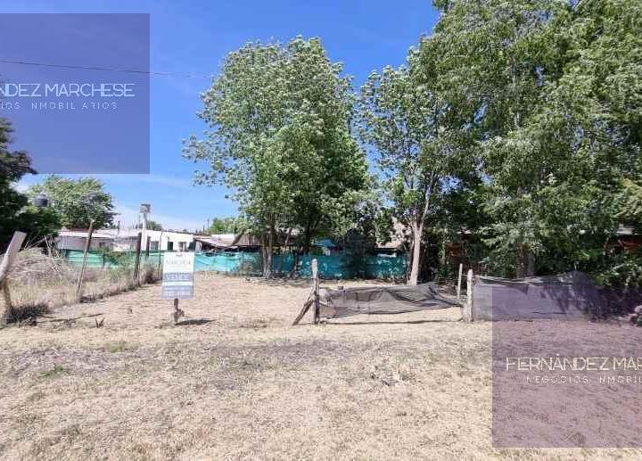 Terreno · 219m²