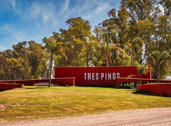 Terreno · 1000m²