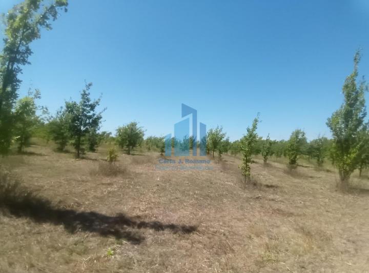 Terreno · 2256m² · 1 Ambiente · 1 Cochera