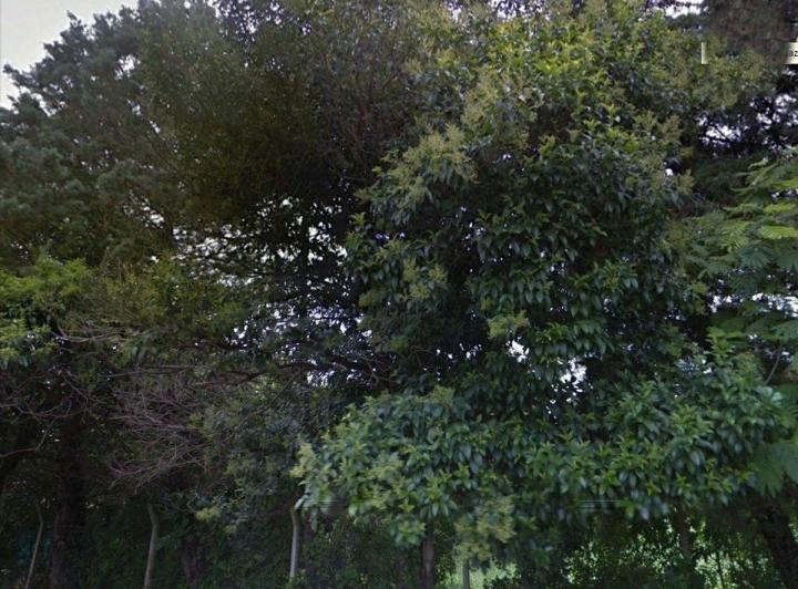 Terreno · 692m²