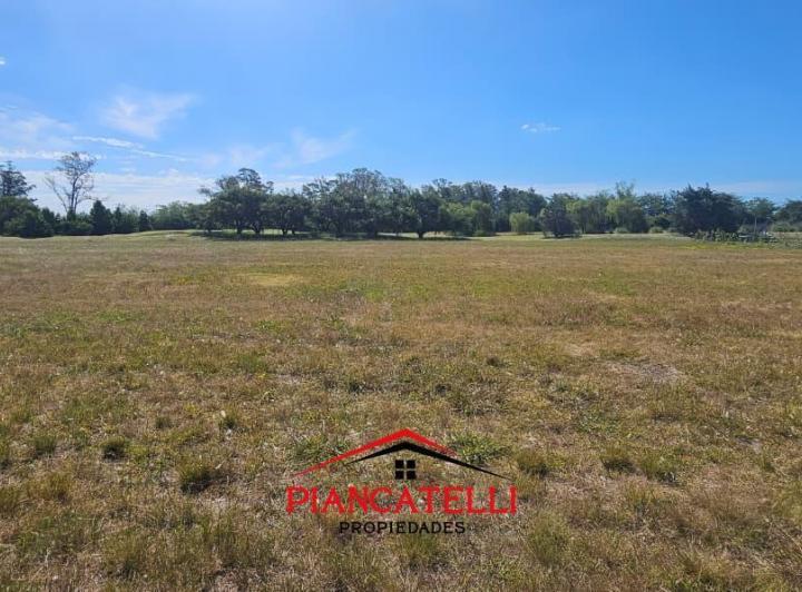 Terreno · 2000m²
