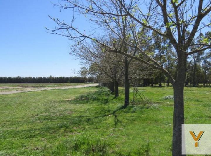 Terreno · 1015m²