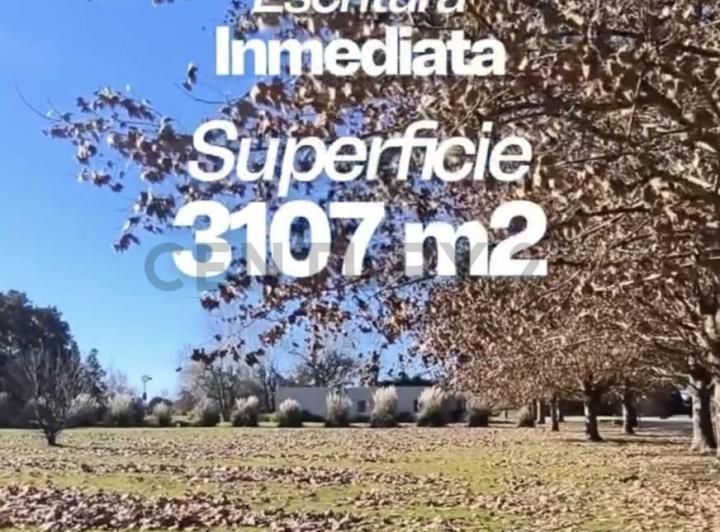 Terreno · 3007m²