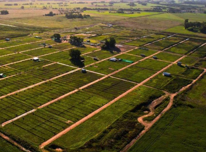 Terreno · 300m²