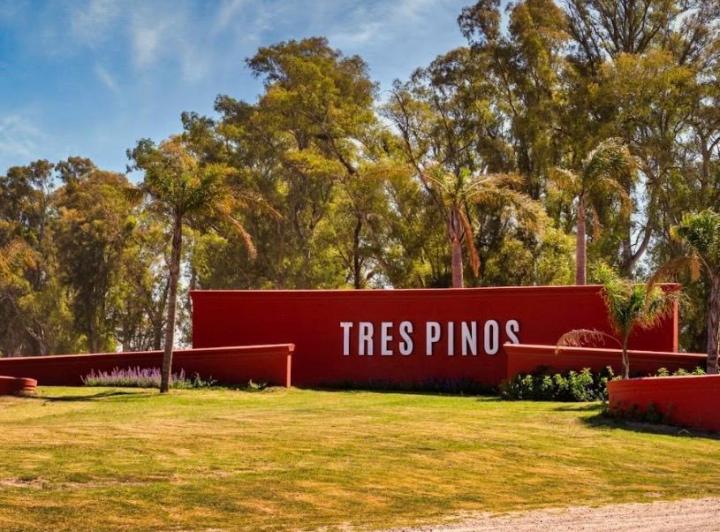 Terreno · 1376m²