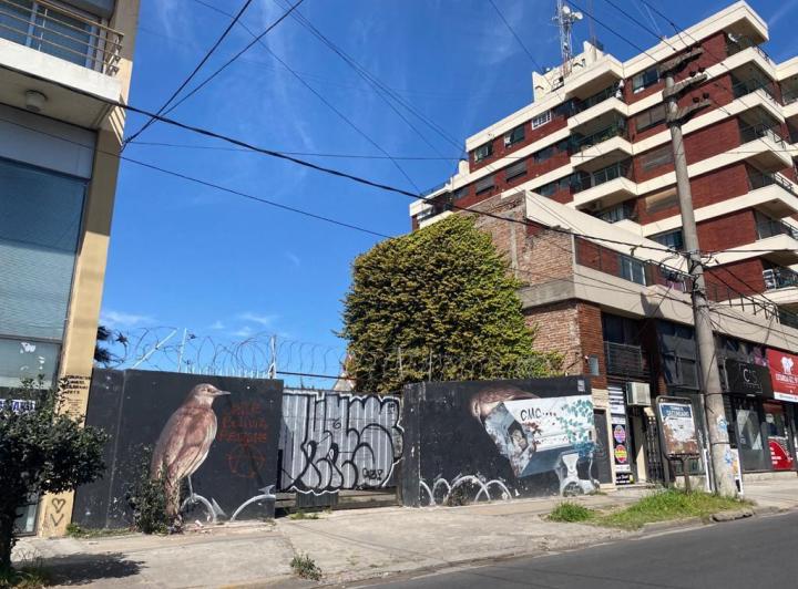 Terreno · 554m²