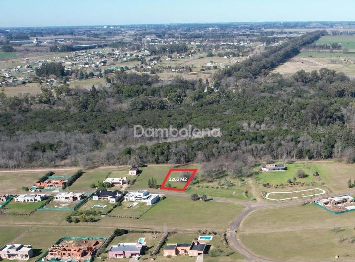 Terreno · 2266m²