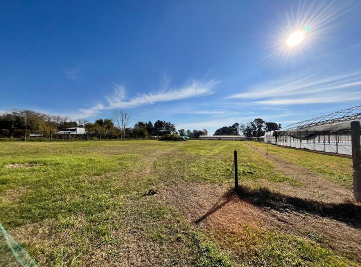 Terreno · 3800m²