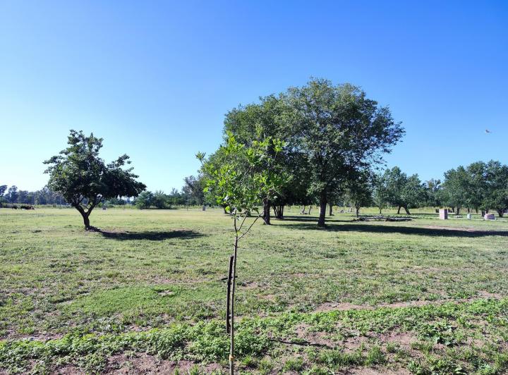 Terreno · 900m²