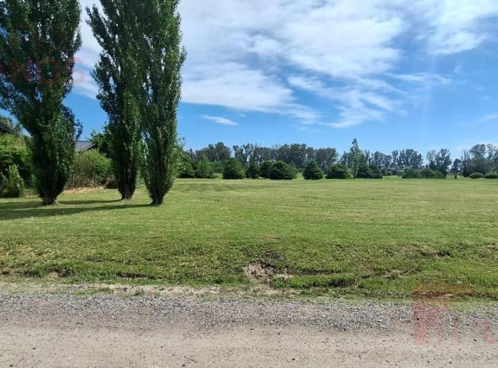 Terreno · 2000m²