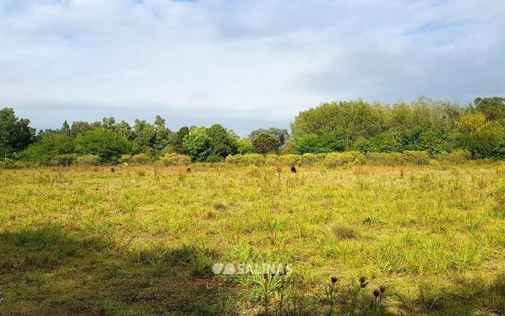 Terreno · 22000m²