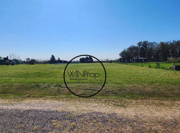 Terreno · 10000m²