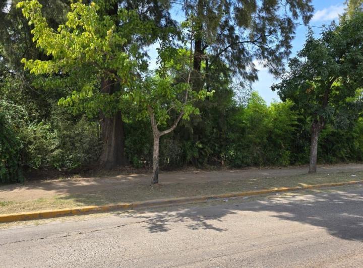 Terreno · 306m²