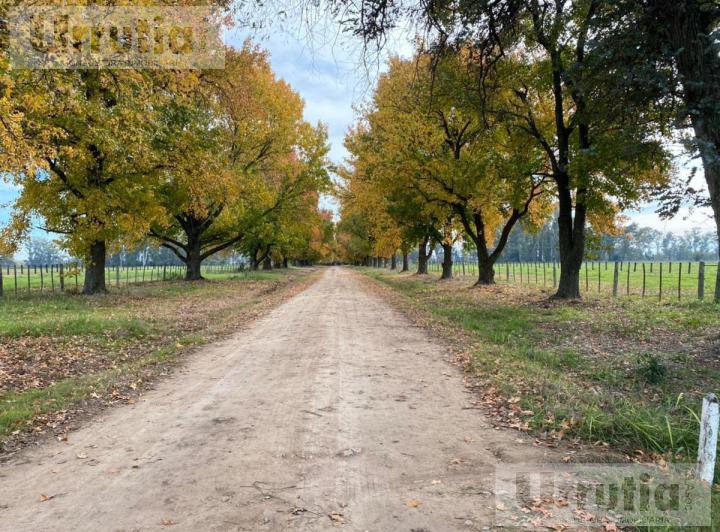 Terreno · 1460000m²