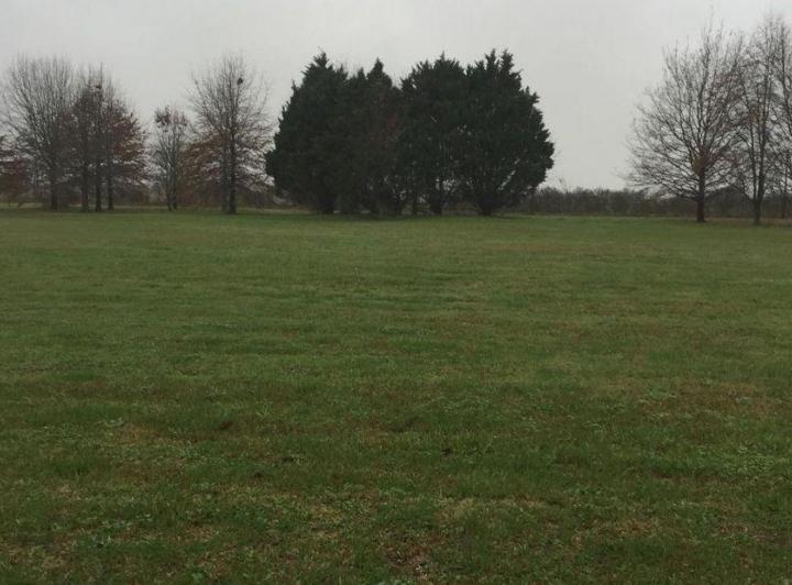 Terreno · 1500m²