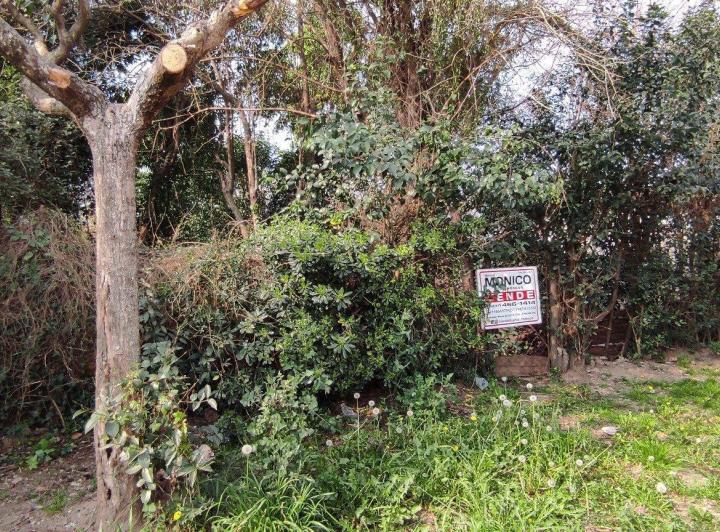 Terreno · 300m²
