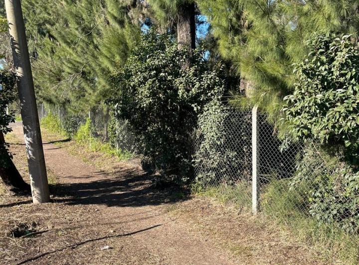 Terreno · 2020m²