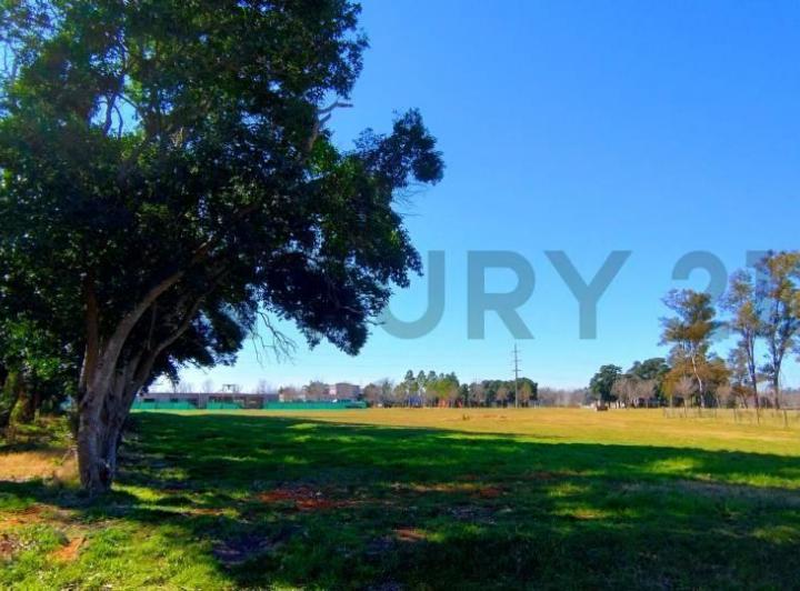 Terreno · 2038m²