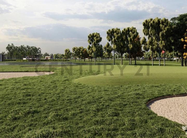 Terreno · 1000m²