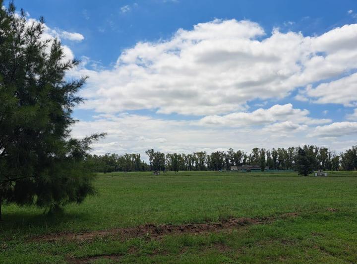 Terreno · 1893m²