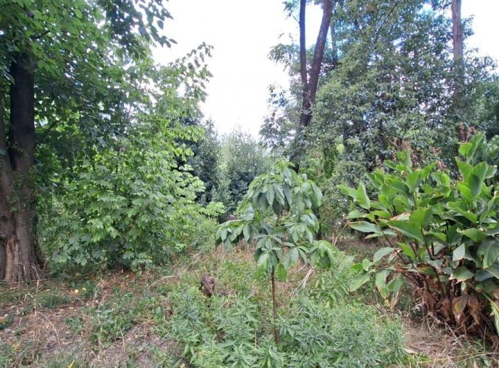 Terreno · 607m²