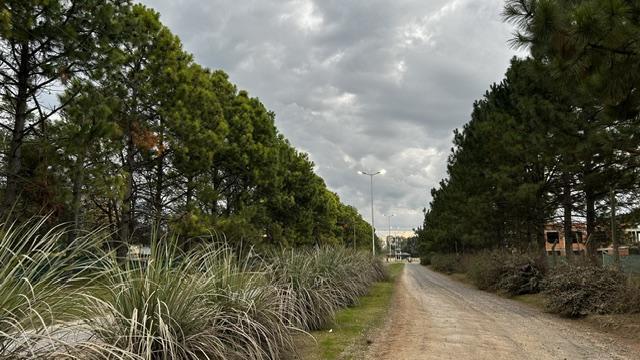 Terreno · 10000m²