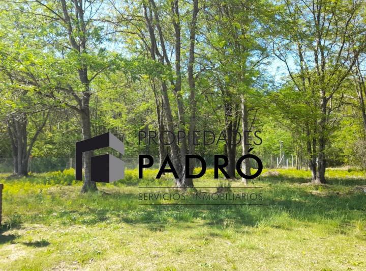 Terreno · 2000m²