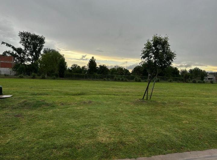 Terreno · 1056m²