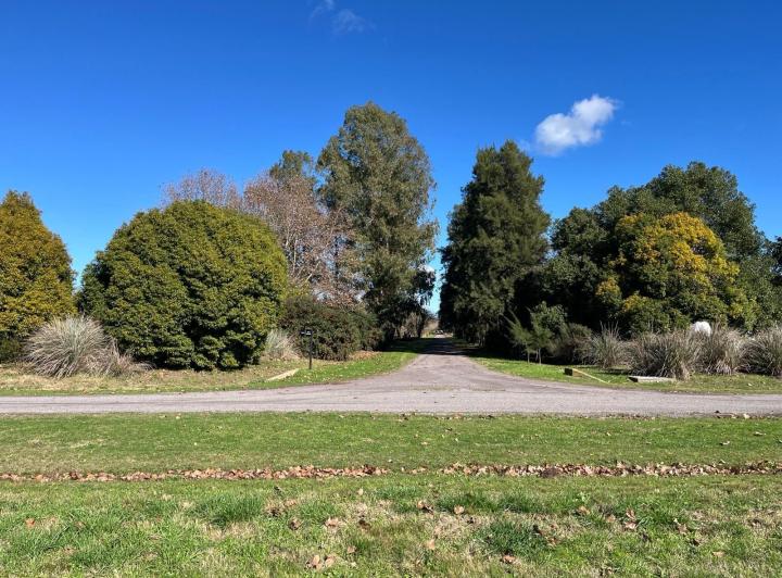 Terreno · 10000m²