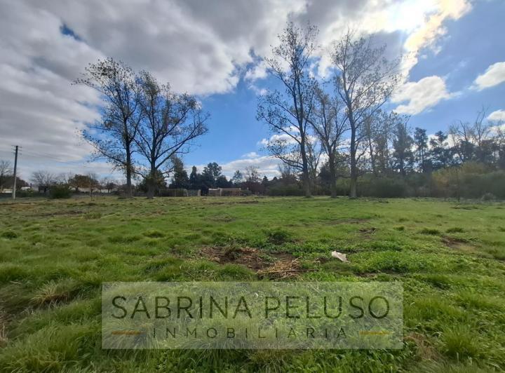Terreno · 1500m²