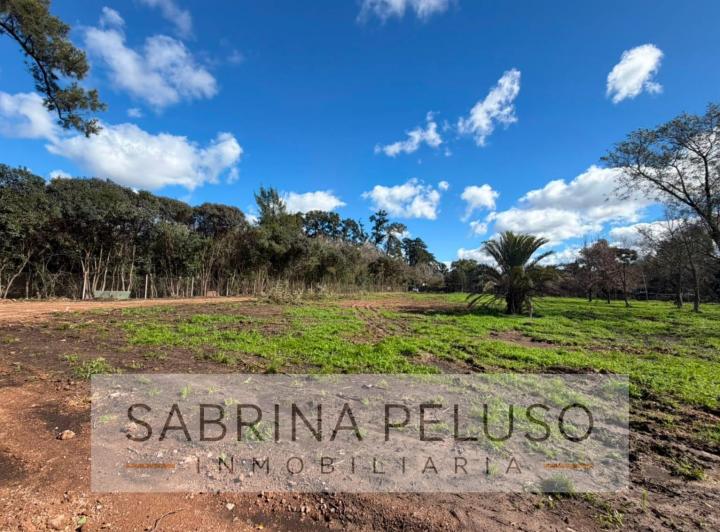 Terreno · 925m²