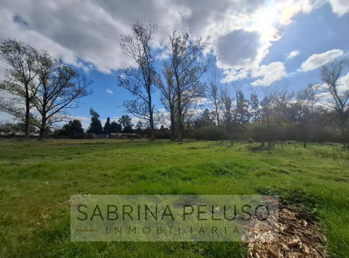 Terreno · 2906m²