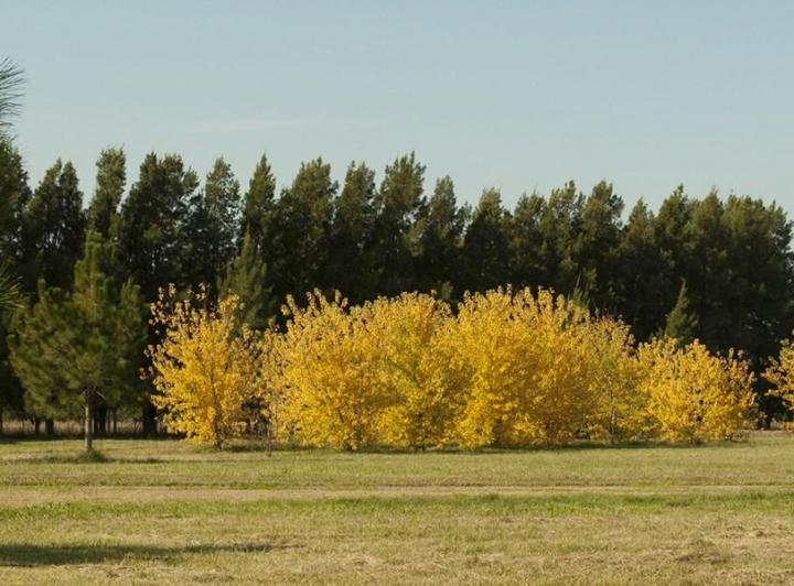 Terreno · 2000m²