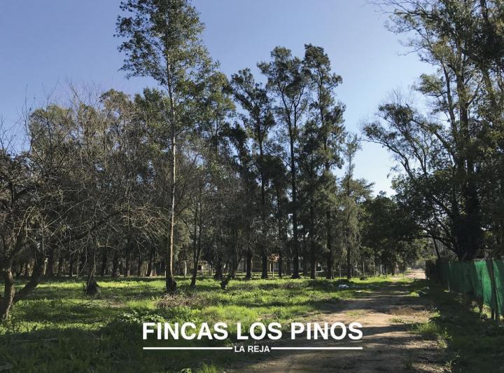 Terreno · 728m²