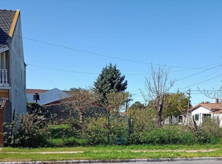 Terreno
