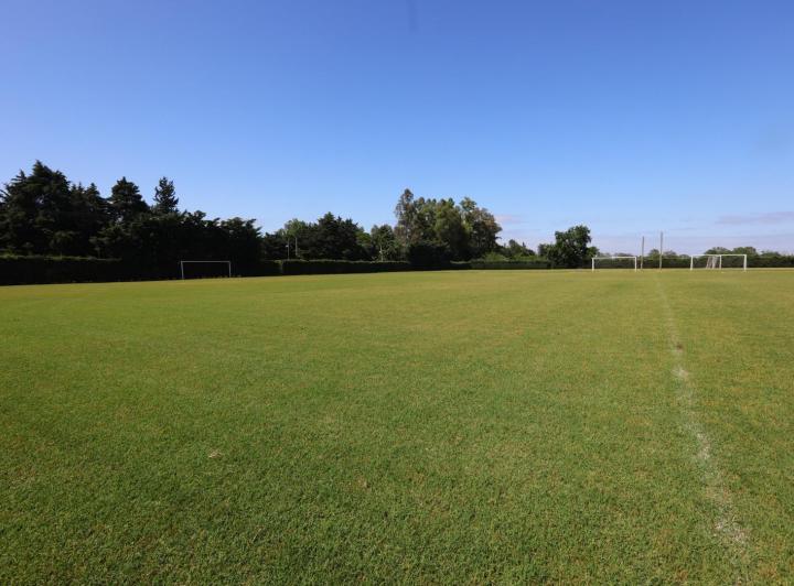 Terreno · 30005m²