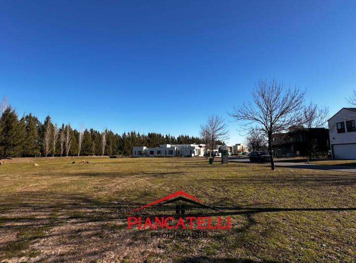 Terreno · 1000m²