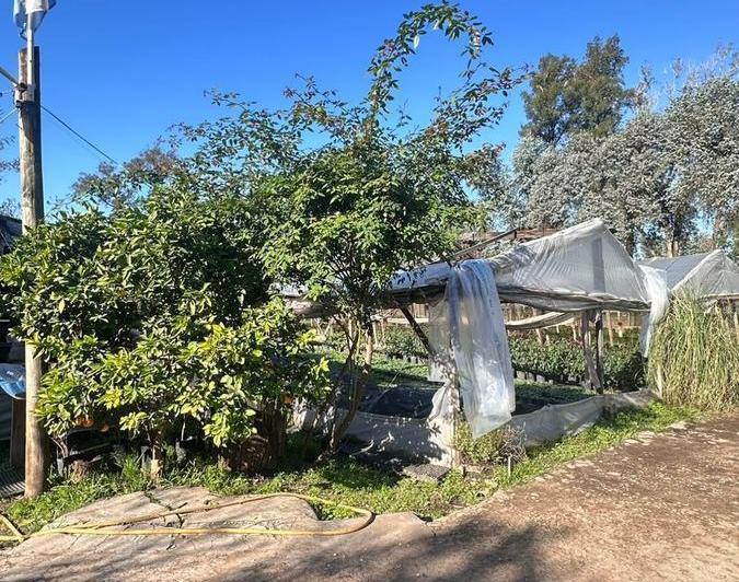 Terreno · 977m²