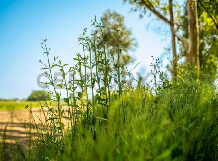 Terreno · 600m²