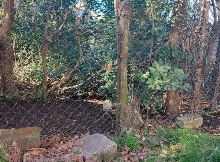 Terreno · 316m²