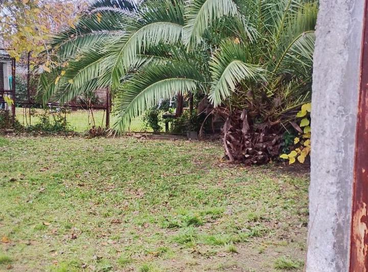 Terreno · 374m²