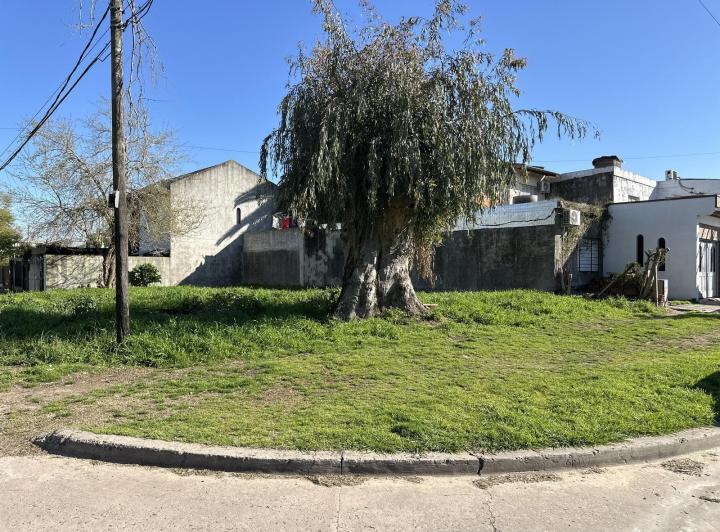Terreno · 236m²