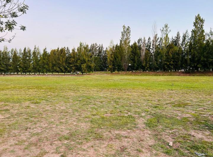 Terreno · 1000m²