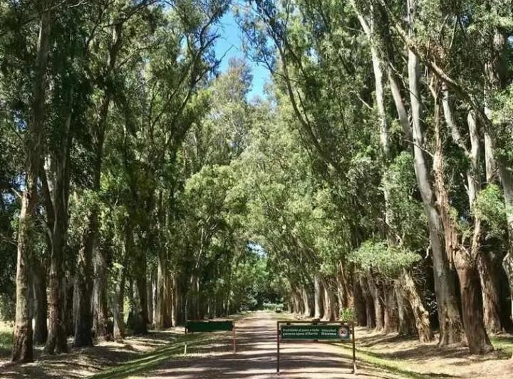 Terreno · 1200m²