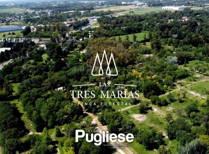 Terreno · 450m²