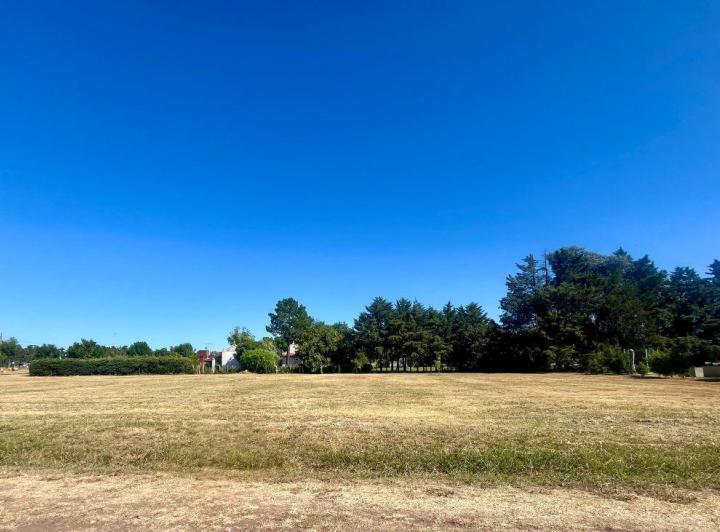 Terreno · 1000m²
