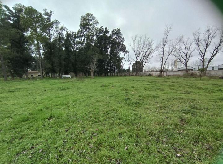 Terreno · 25500m²