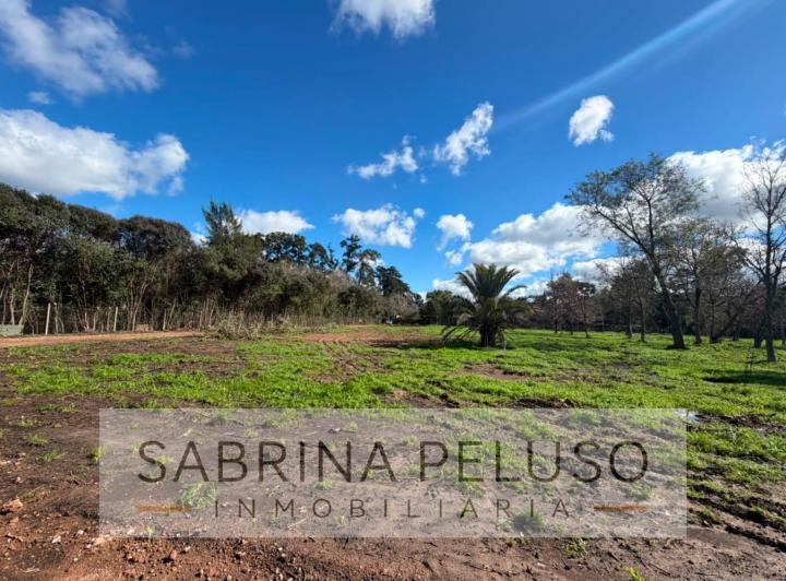 Terreno · 805m²
