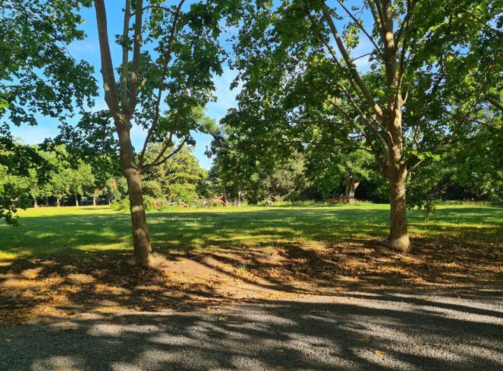 Terreno · 5300m²