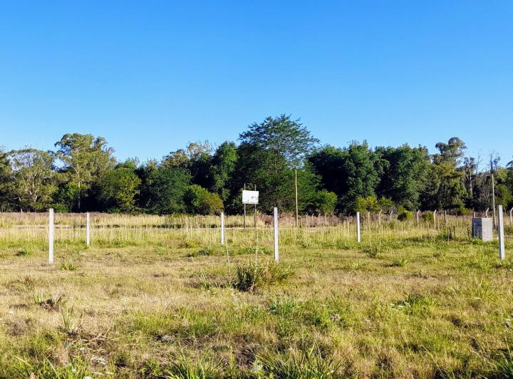 Terreno · 1m²